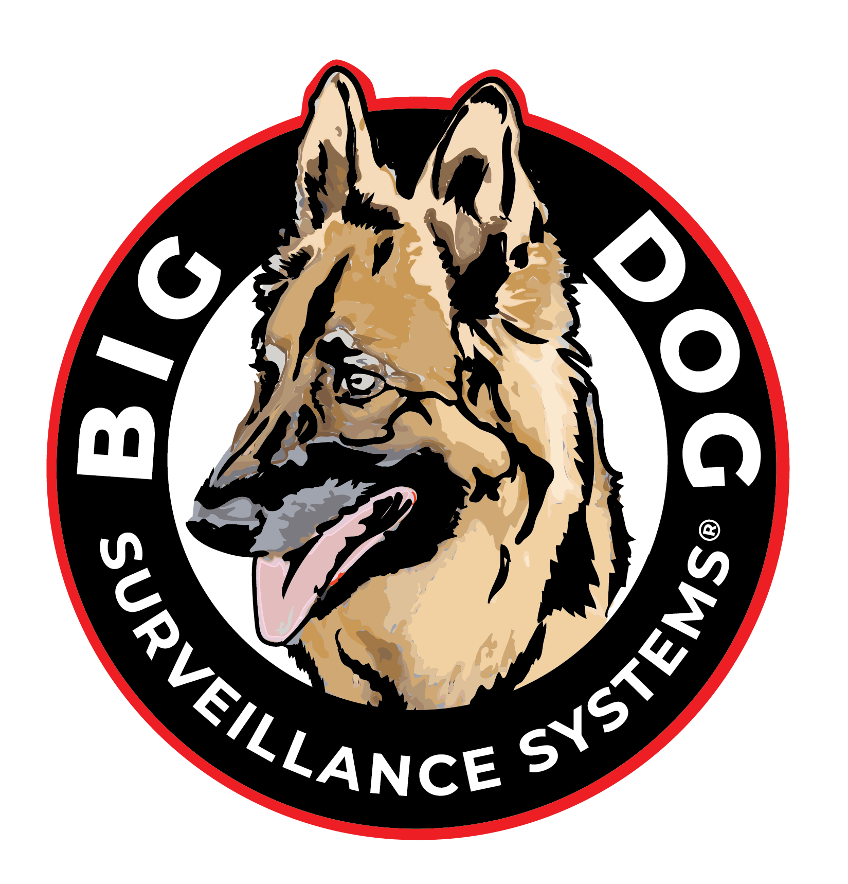 Big Dog Digital Surveillance Systems