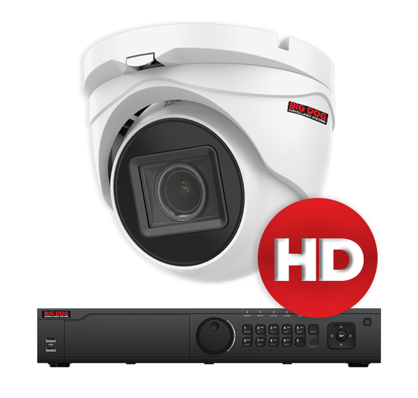 Big Dog HD Surveillance Systems for Wendy's