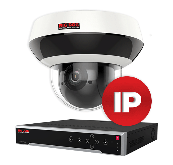 Big Dog IP Surveillance Systems for Wendy's
